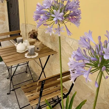 La Salitella Terracine