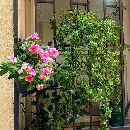 Appartement La Salitella