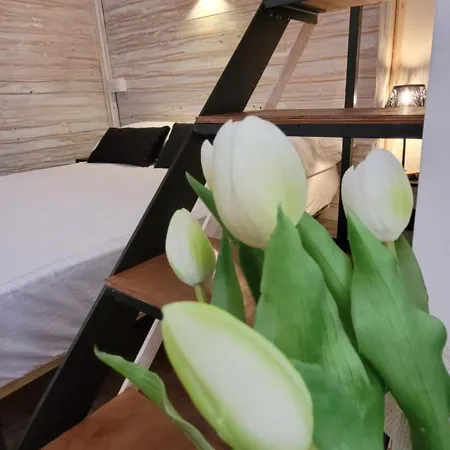 La Salitella דירה טרצ'ינה