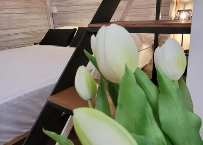 La Salitella Appartamento Terracina