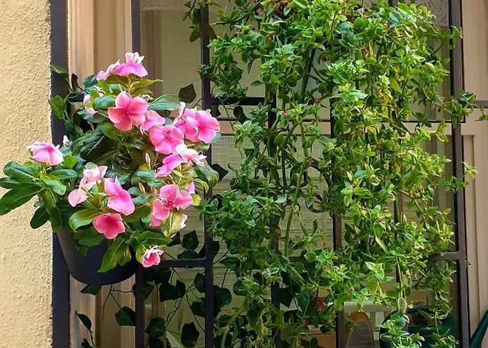 Appartamento La Salitella